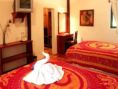 Fusion Beach Hotel 신데 델 카르멘