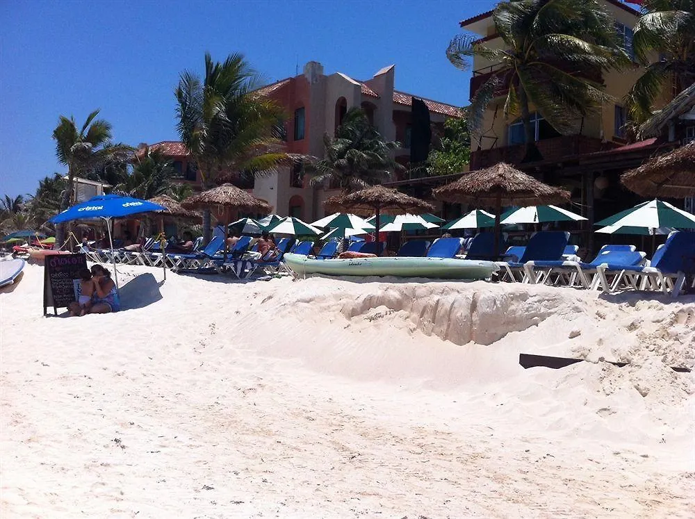 Fusion Beach Hotel 신데 델 카르멘 3*,