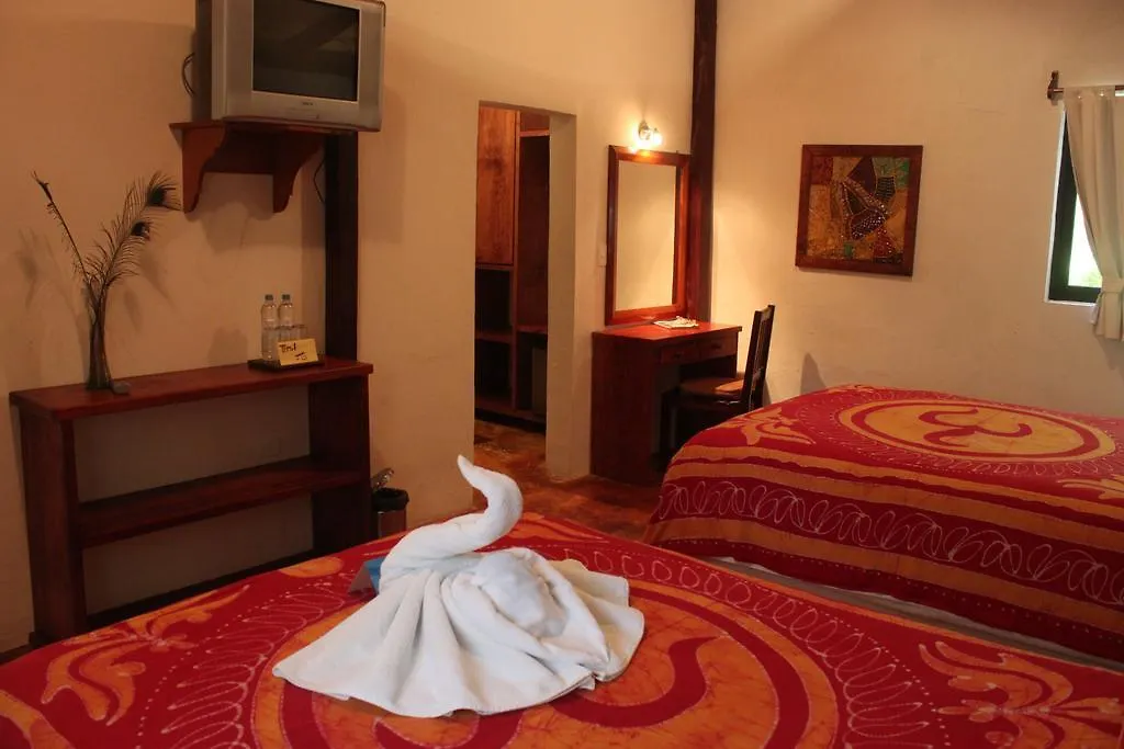 Fusion Beach Hotel 신데 델 카르멘